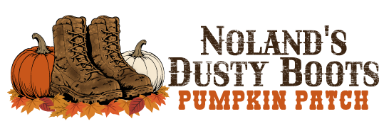 Noland's Dusty Boots Pumpkin Patch